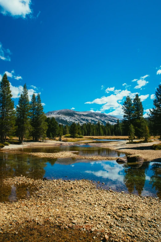 a body of water surrounded by trees under a blue sky, a picture, inspired by Ansel Adams, flickr, yosemite, today\'s featured photograph 4k, rocky meadows, epic land formations