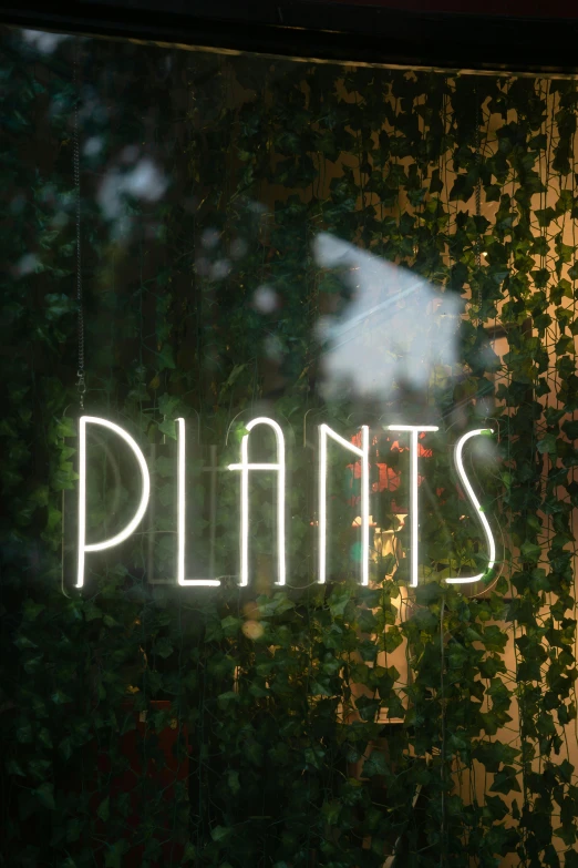 a neon sign that says plants in front of a window, profile image, outdoor lighting, lianas, sustainable materials