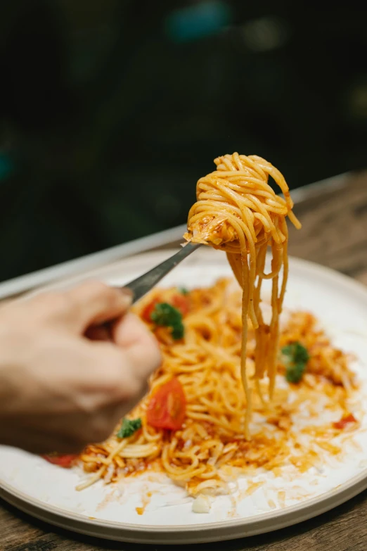 a person holding a fork with spaghetti on it, pexels contest winner, pizza the hut, plating, noodles, extra details