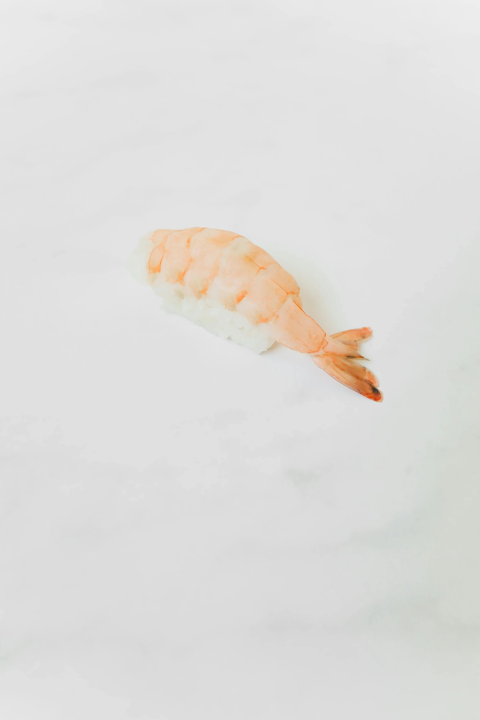 a piece of sushi sitting on top of a white surface, ghost shrimp, jen atkin, detailed product image, fish tail