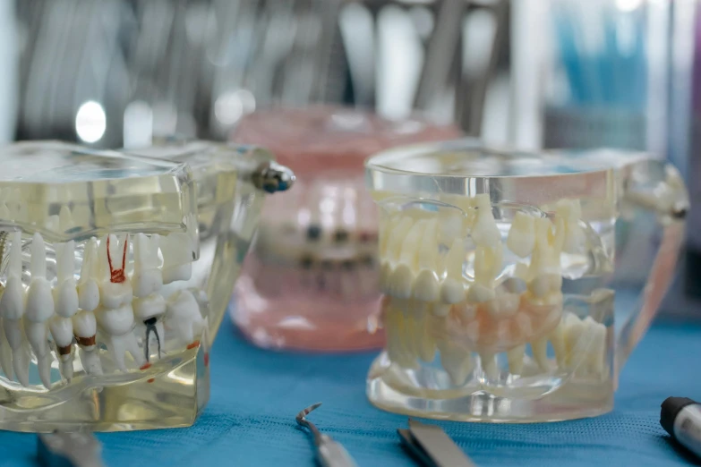 a group of dental tools sitting on top of a table, by Adam Marczyński, pexels, hyperrealism, fishbones, glass, ready to eat, realistic »