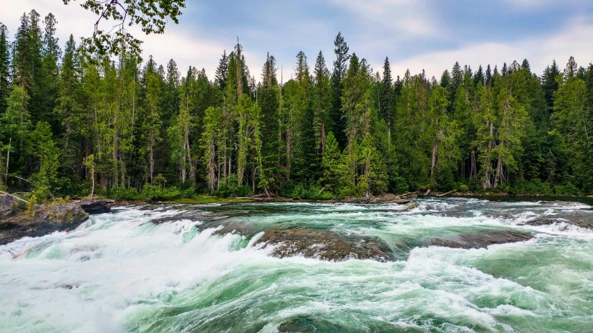 a river running through a forest filled with trees, by Arnie Swekel, pexels contest winner, hurufiyya, idaho, white water rapids, profile image, panoramic shot