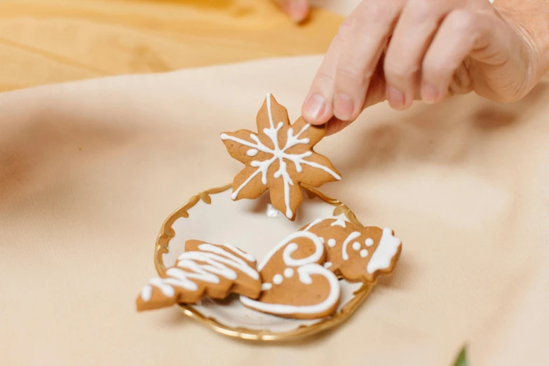 a close up of a person putting icing on a cookie, by Sylvia Wishart, ivory and copper, high quality product photo, ornamentation, plated arm