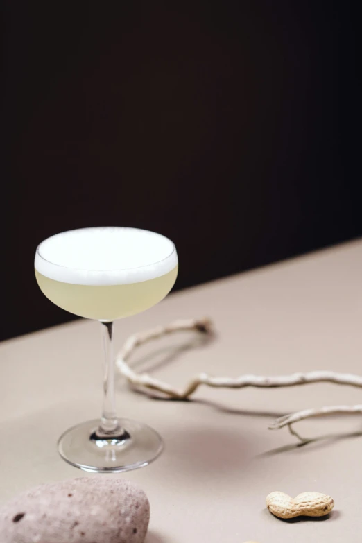 a cocktail sitting on top of a table next to a rock, inspired by Ndoc Martini, renaissance, porcelain white skin, ivy, soft white rubber, longque chen