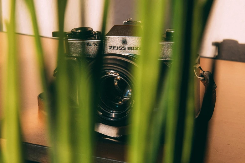 a camera sitting on top of a table next to a plant, a picture, zeiss lens, indoor shot, fan favorite, zoomed in