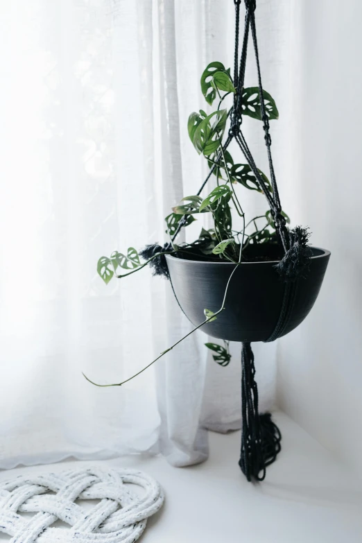 a potted plant sitting on top of a window sill, inspired by Reinier Nooms, unsplash, new sculpture, intricate chrome chains, all black matte product, flowing tendrils, its bowl overflowing with plants