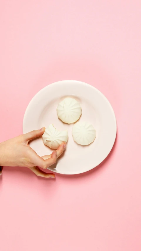 a person holding a plate with seashells on it, by Arabella Rankin, minimalism, steamed buns, covered with pink marzipan, thumbnail, 3 - piece