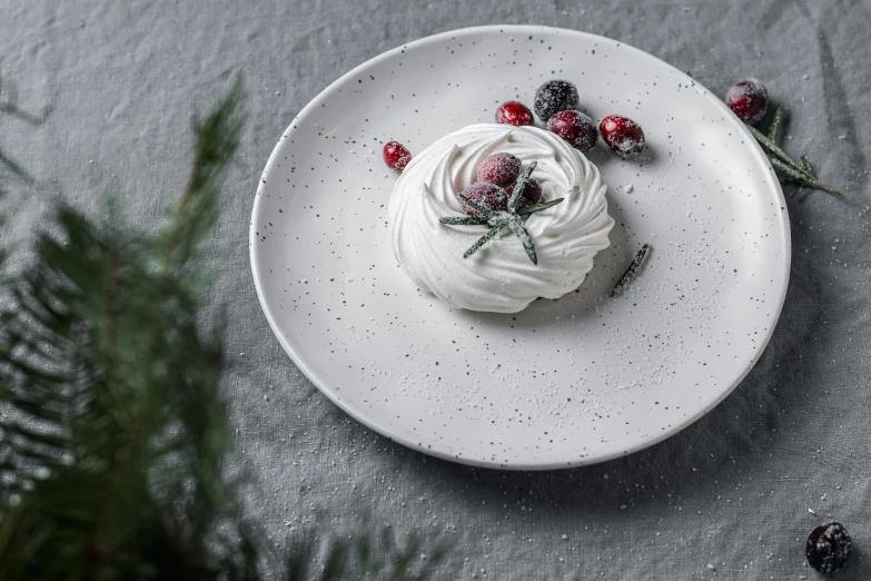 a white plate topped with whipped cream and cranberries, inspired by Barthélemy Menn, trending on unsplash, baroque, made in tones of white and grey, snow flurries, black fir, white marble interior photograph