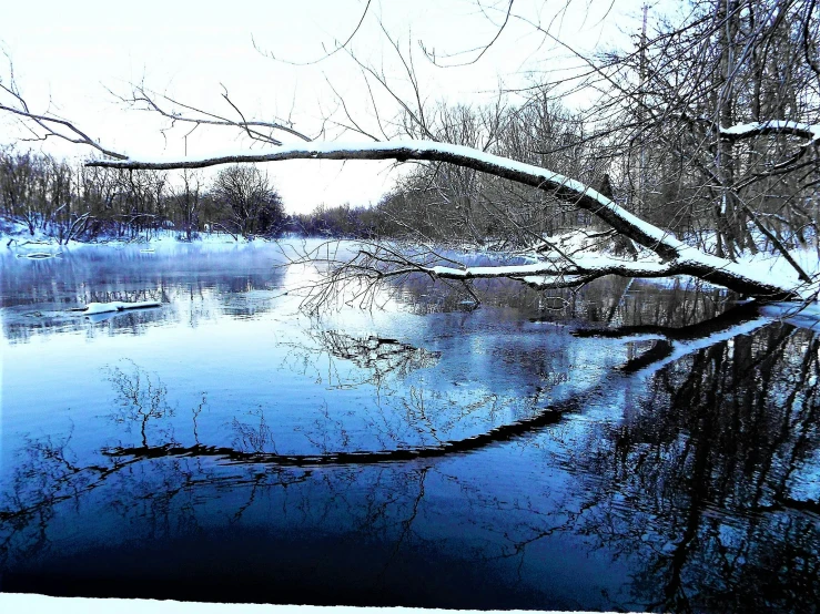 a body of water surrounded by snow covered trees, nature photograph, single image