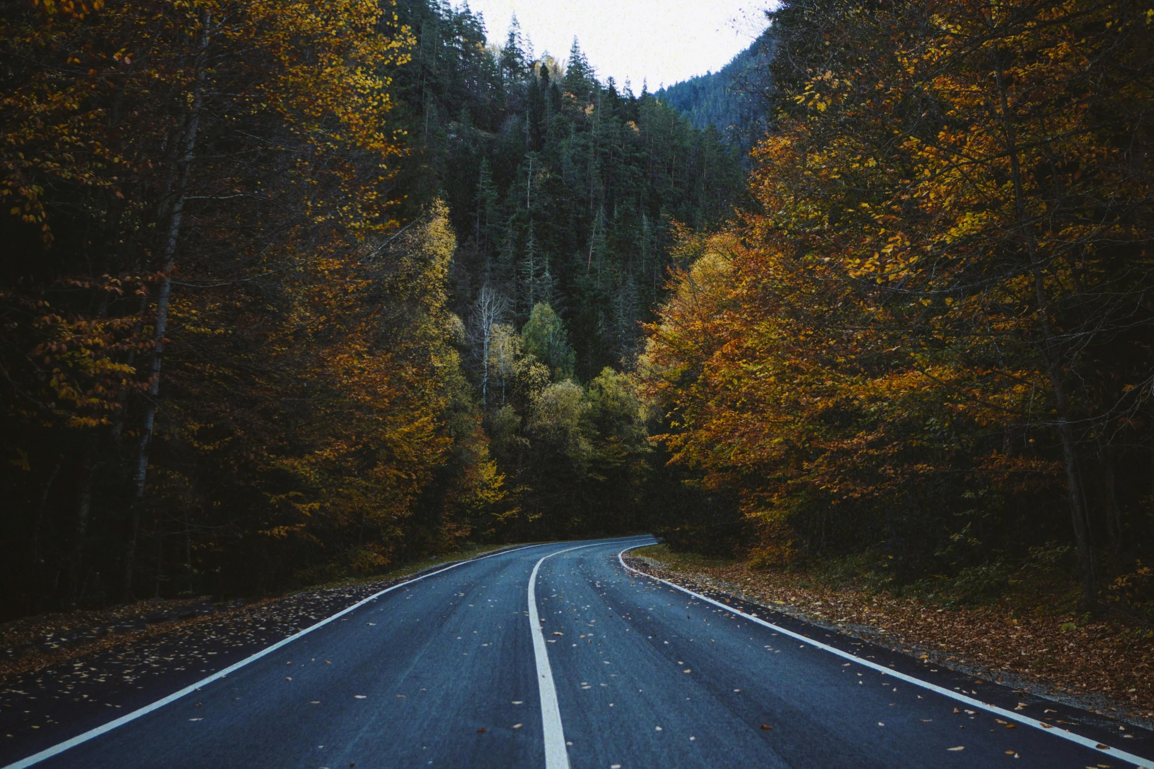 an empty road in the middle of a forest, pexels contest winner, 2 5 6 x 2 5 6 pixels, hyperrealistic fall, the middle of a valley, 🚿🗝📝