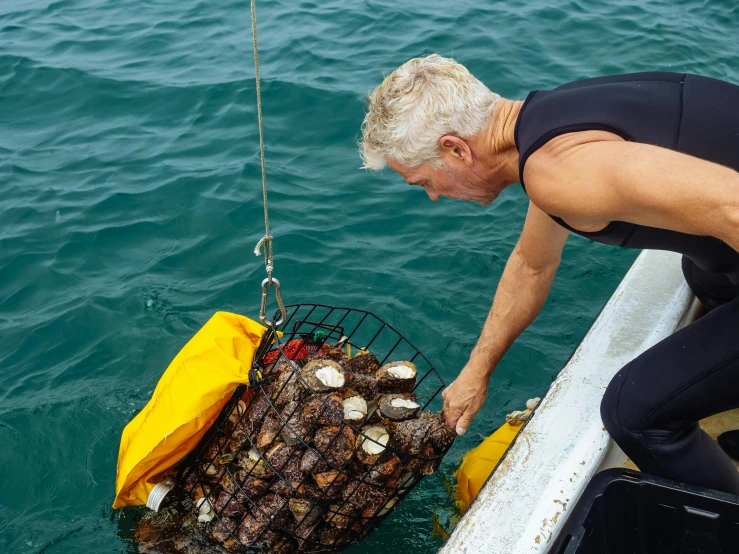 a man holding a basket full of oysters in the water, profile image, reefs, dingy, abalone