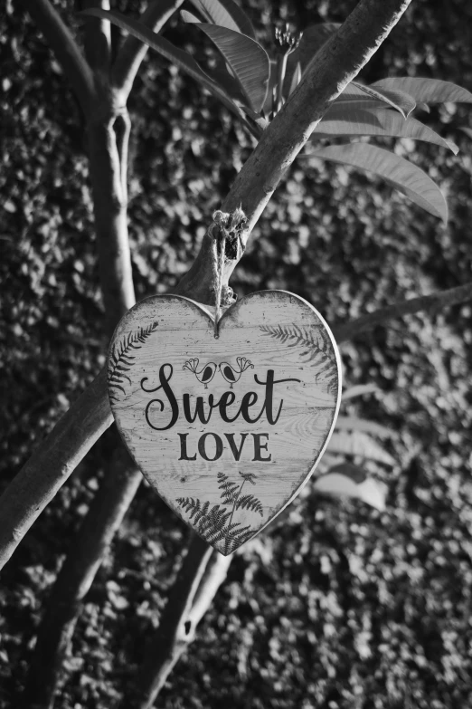 a wooden heart hanging from a tree, a black and white photo, by Sylvia Wishart, sweets, sign, profile picture 1024px, sweet home