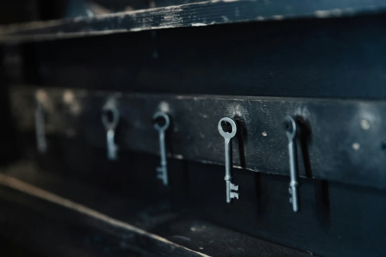a close up of a bunch of keys on a shelf, an engraving, unsplash, inside a crypt, black furniture, high resolution, panel of black