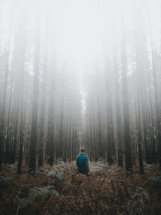 a person standing in the middle of a forest, 5 0 0 px, lonely and sad, instagram post, full body within frame