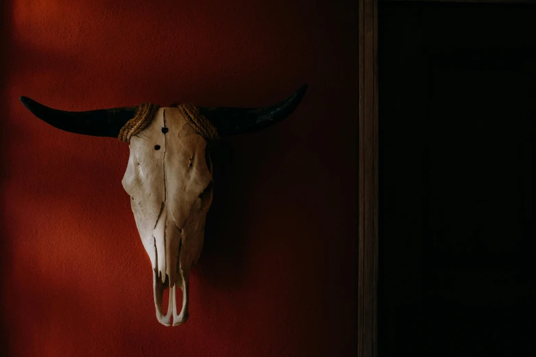 a cow skull mounted on a red wall, pexels contest winner, beige and dark atmosphere, 🦩🪐🐞👩🏻🦳, skull head, felix englund style