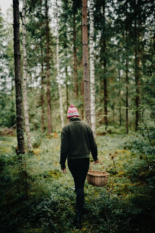 a person walking through a forest carrying a basket, by Jesper Knudsen, pexels contest winner, a cozy, swedish countryside, portrait of forest gog, back