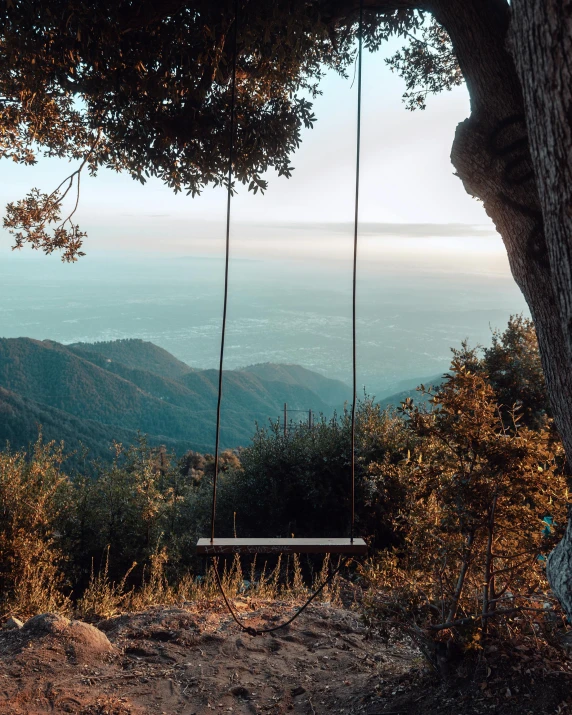 a swing hanging from the side of a tree, unsplash contest winner, overlooking a valley, the city of santa barbara, profile image, conde nast traveler photo