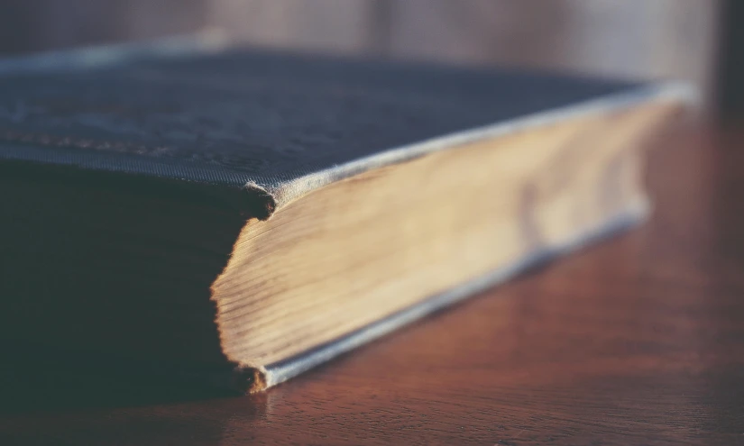 a book sitting on top of a wooden table, a macro photograph, unsplash, faded worn, biblical, looking to the right, brown