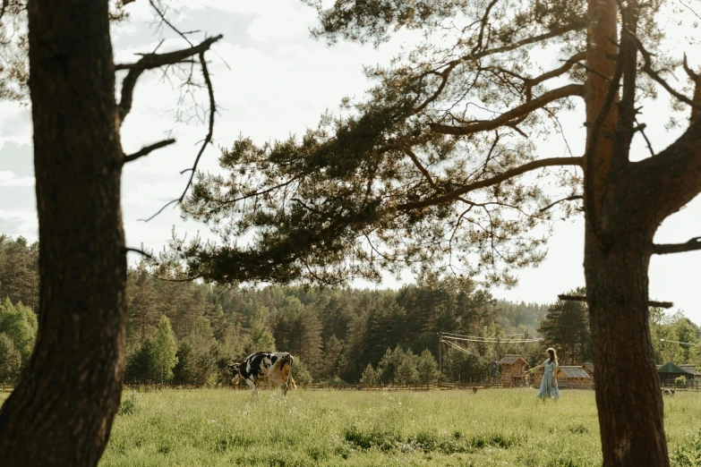 a couple of cows standing on top of a lush green field, by Emma Andijewska, unsplash contest winner, land art, girl walking in forest, people on a picnic, russian village, with a tall tree