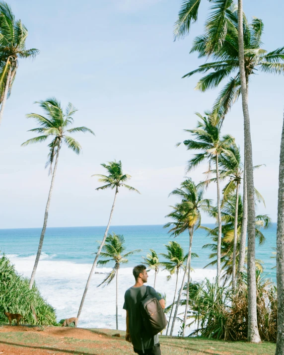 a man standing on top of a lush green field next to the ocean, palm trees on the beach, sri lanka, liam brazier, multiple stories