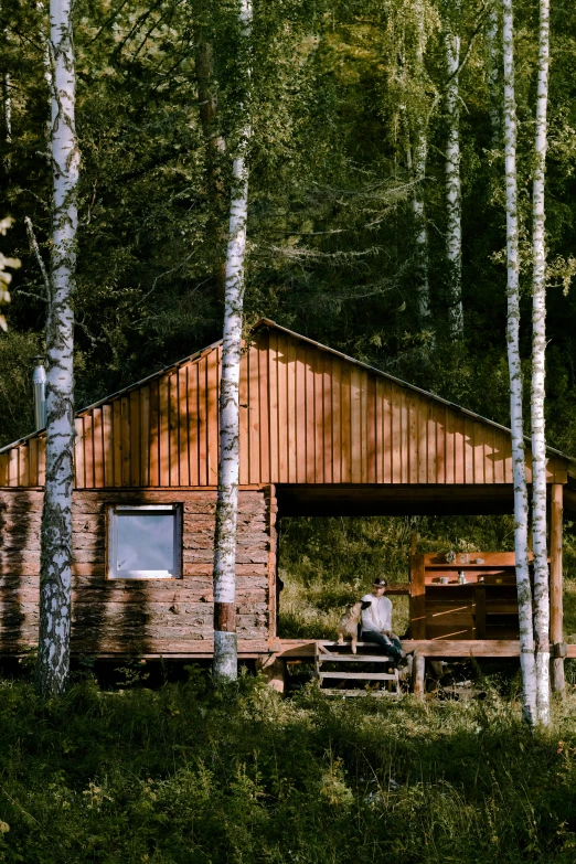 a horse standing in front of a cabin in the woods, inspired by Peter Zumthor, unsplash, near lake baikal, slide show, summer evening, birch