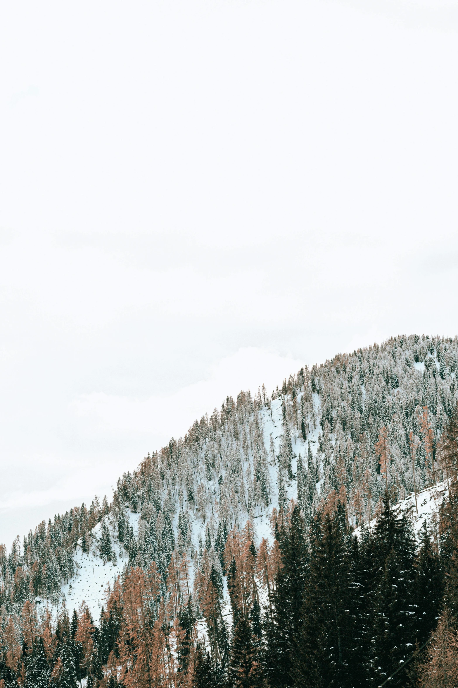 a man riding a snowboard down a snow covered slope, a photo, trending on unsplash, visual art, sparse pine trees, panorama view, brown, grey