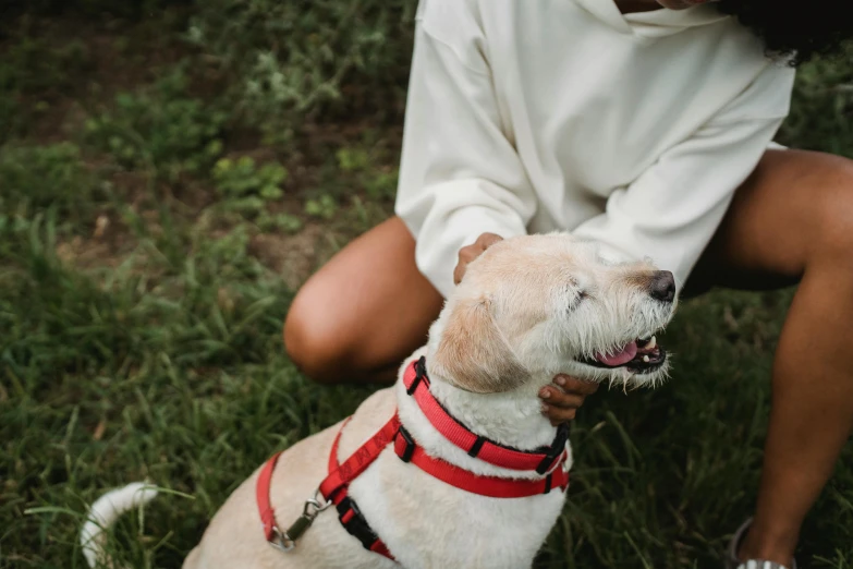 a woman kneeling down petting a white dog, by Emma Andijewska, trending on pexels, renaissance, wearing red tank top, harnesses, thumbnail, white