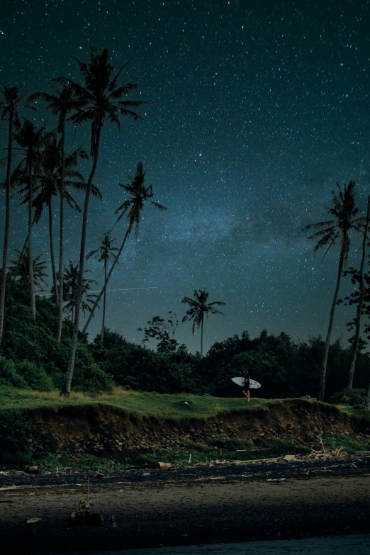 a man riding a surfboard on top of a sandy beach, by Peter Churcher, unsplash contest winner, sumatraism, dense lush forest at night, galaxies and star in the sky, coconut palms, meadows