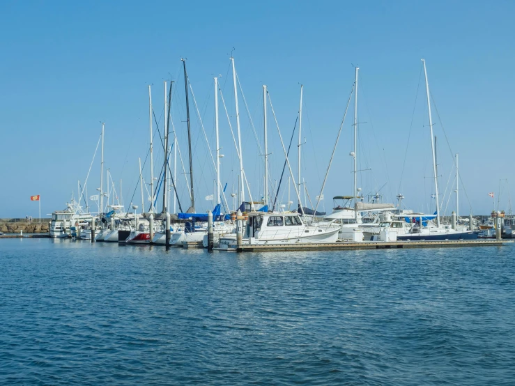 a number of boats in a body of water, manly, fan favorite, moored, high resolution image