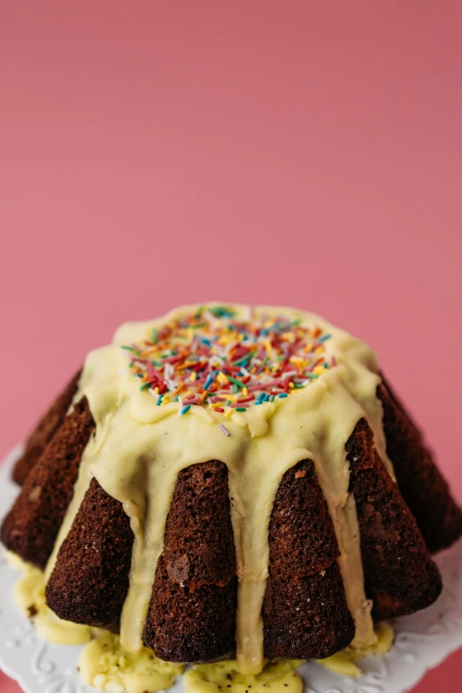 a bundt cake with icing and sprinkles on a plate, unsplash, detailed product image, low-angle, brown, ice cream