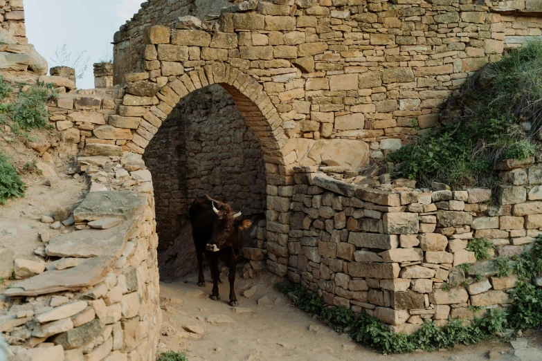 a couple of animals that are standing in the dirt, tall arched stone doorways, ancient mediterranean village, dezeen, 90s photo