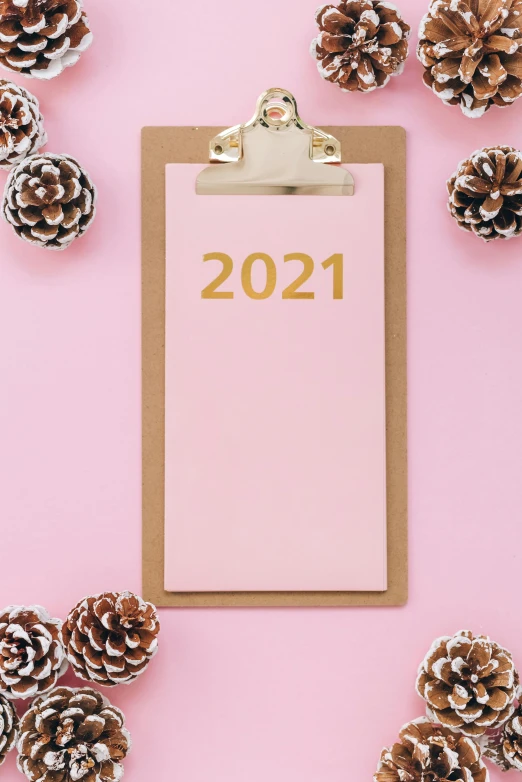 a clipboard with 2021 written on it surrounded by pine cones, pink background, thumbnail, pink and gold color scheme, dark. no text