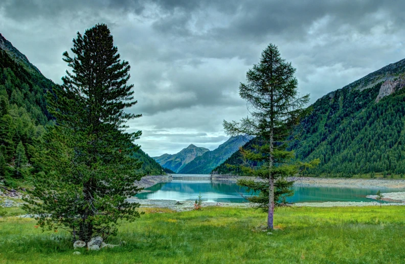 a couple of trees sitting on top of a lush green field, by Carlo Martini, pexels contest winner, mountain lake, gray, album, 1 4 9 3