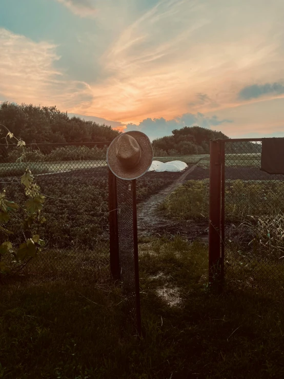 a hat sitting on top of a metal pole, an album cover, unsplash, land art, late summer evening, outside in a farm, low quality photo, iphone photo