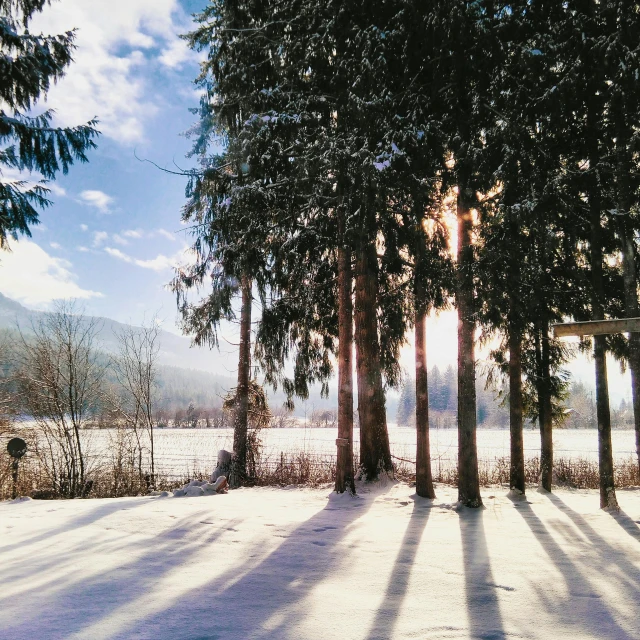 the sun is shining through the trees in the snow, inspired by Otto Meyer-Amden, pexels contest winner, land art, paradise in the background, british columbia, afternoon hangout, overexposed sunlight