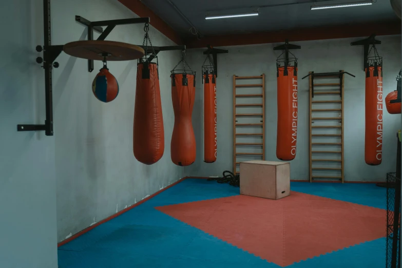 a gym with punching bags hanging from the ceiling, a portrait, dribble, les nabis, фото девушка курит, located in hajibektash complex, magdalena radziej, cleanest image