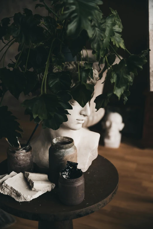 a potted plant sitting on top of a wooden table, a marble sculpture, inspired by Elsa Bleda, trending on unsplash, visual art, porcelain face, inside a grand messy studio, apothecary, white and black color palette