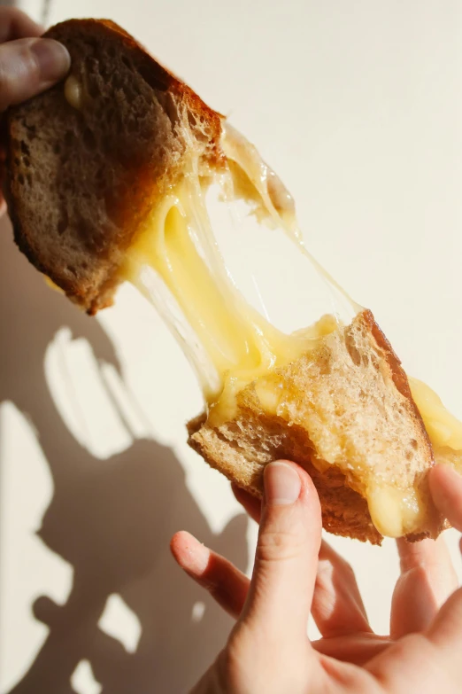 a person holding a piece of bread with cheese on it, by Daniel Seghers, brightly-lit, pouring, hey, ignant