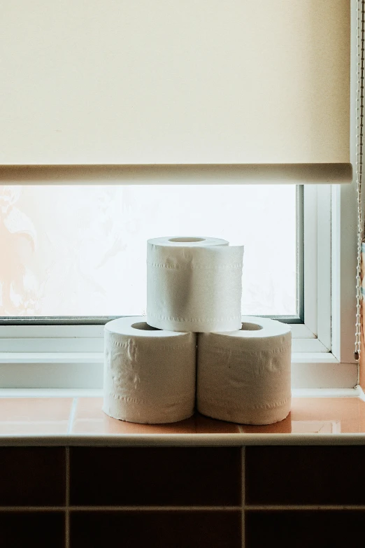 three rolls of toilet paper sitting on a window sill, unsplash, wrinkles and muscle tissues, ignant, poop, sunny light