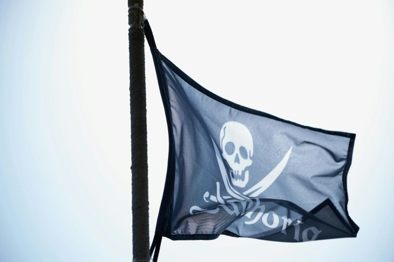 a pirate flag with a skull and crossbone on it, unsplash, hurufiyya, low - angle shot from behind, 5 years old, iconic design, navy