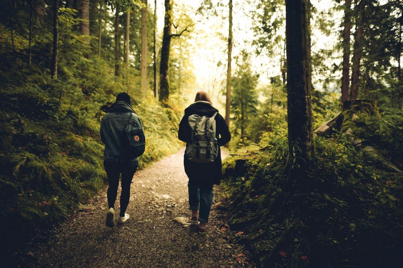 two people walking down a path in the woods, pexels, happening, good friends, background image, thumbnail, a backpack