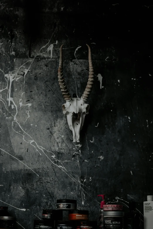 an animal skull mounted to the side of a wall, pexels contest winner, surrealism, dark and dusty, goat horns, while marble, top selection on unsplash