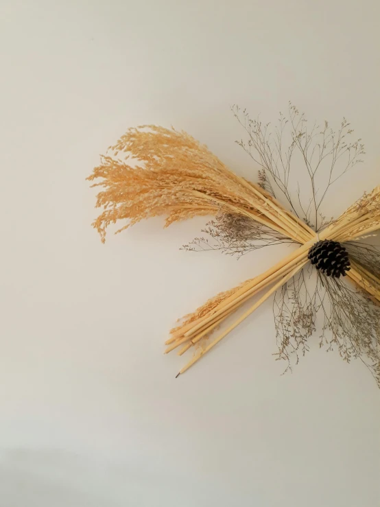 a close up of a flower on a wall, by Valéria Dénes, hurufiyya, dry grass, black and gold wires, ornamental bow, product photo