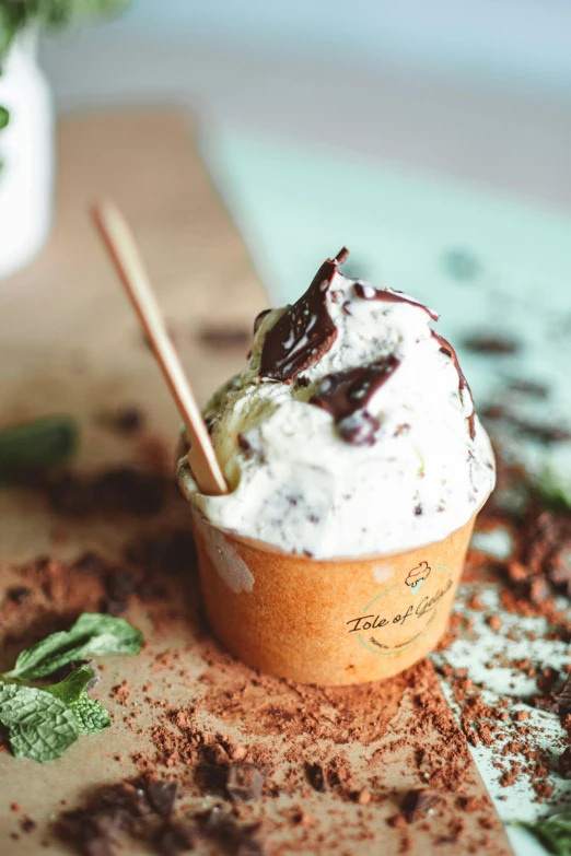 a cup of ice cream sitting on top of a table, mint, white with chocolate brown spots, tia masic, eco