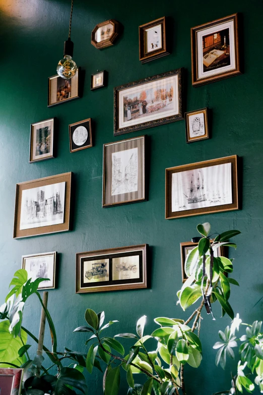 a living room filled with lots of potted plants, inspired by Art Green, trending on unsplash, picture frames, green wall, gold framed, in rich color