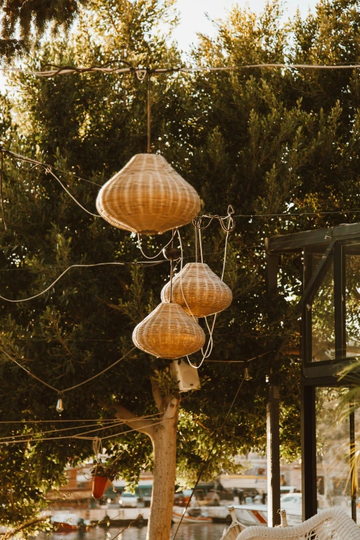 a bunch of baskets hanging from a tree, nadir lighting, golden hour, domes, outdoors lighting