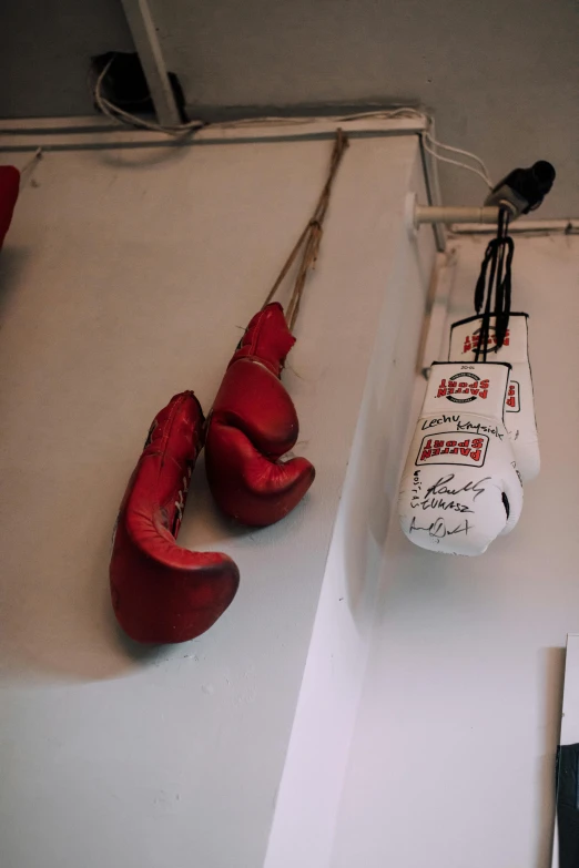 a bunch of boxing gloves hanging on a wall, by Jessie Algie, pexels contest winner, as well as scratches, reds, in a dojo, cream