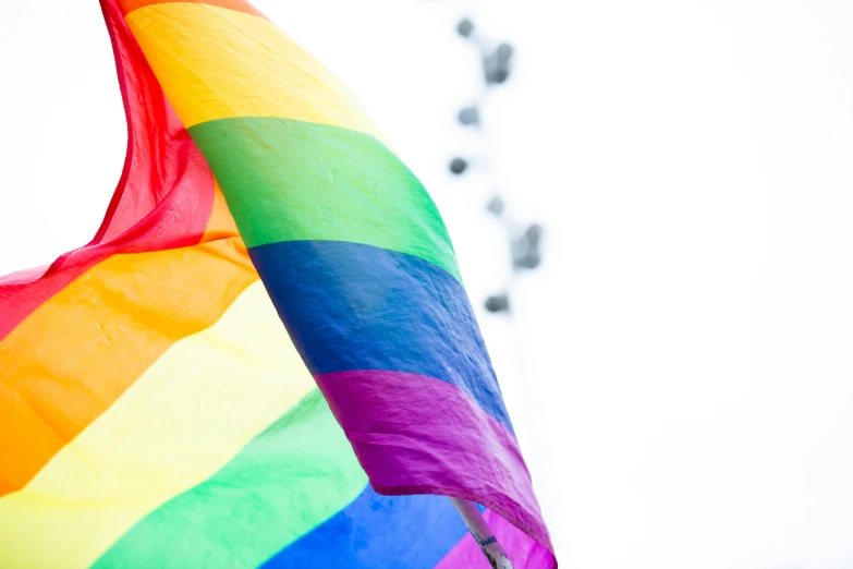 a person holding a rainbow flag in front of a ferris wheel, trending on unsplash, hurufiyya, white background, grey, closeup - view, 15081959 21121991 01012000 4k