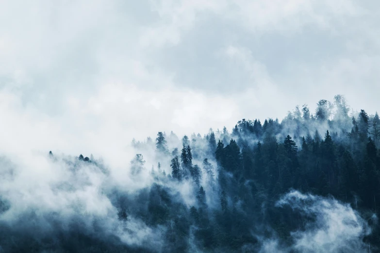 a plane flying over a forest on a cloudy day, an album cover, inspired by Elsa Bleda, pexels contest winner, romanticism, water fog, fir trees, the trees are angry, pale blue fog