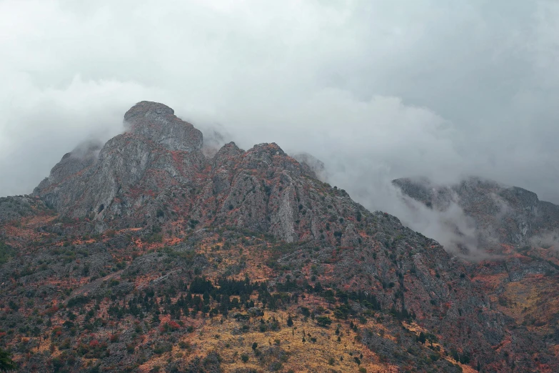 a mountain covered in autumn foliage under a cloudy sky, by Jessie Algie, unsplash, les nabis, larapi, under a gray foggy sky, multiple stories, utah